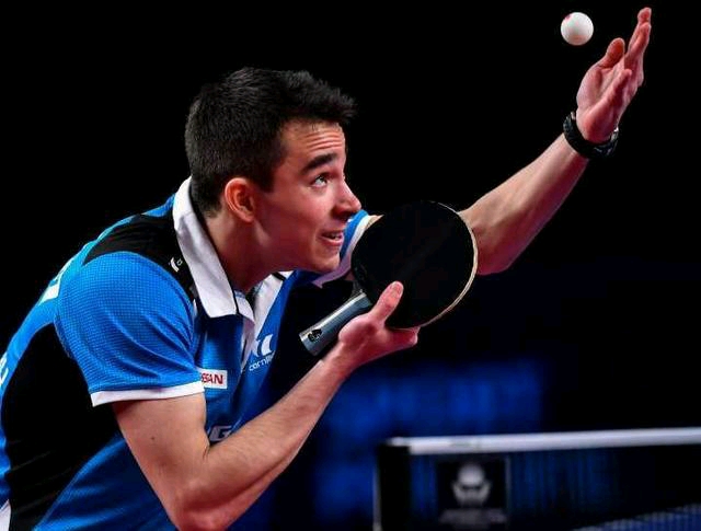 语言与文化 语言与文化