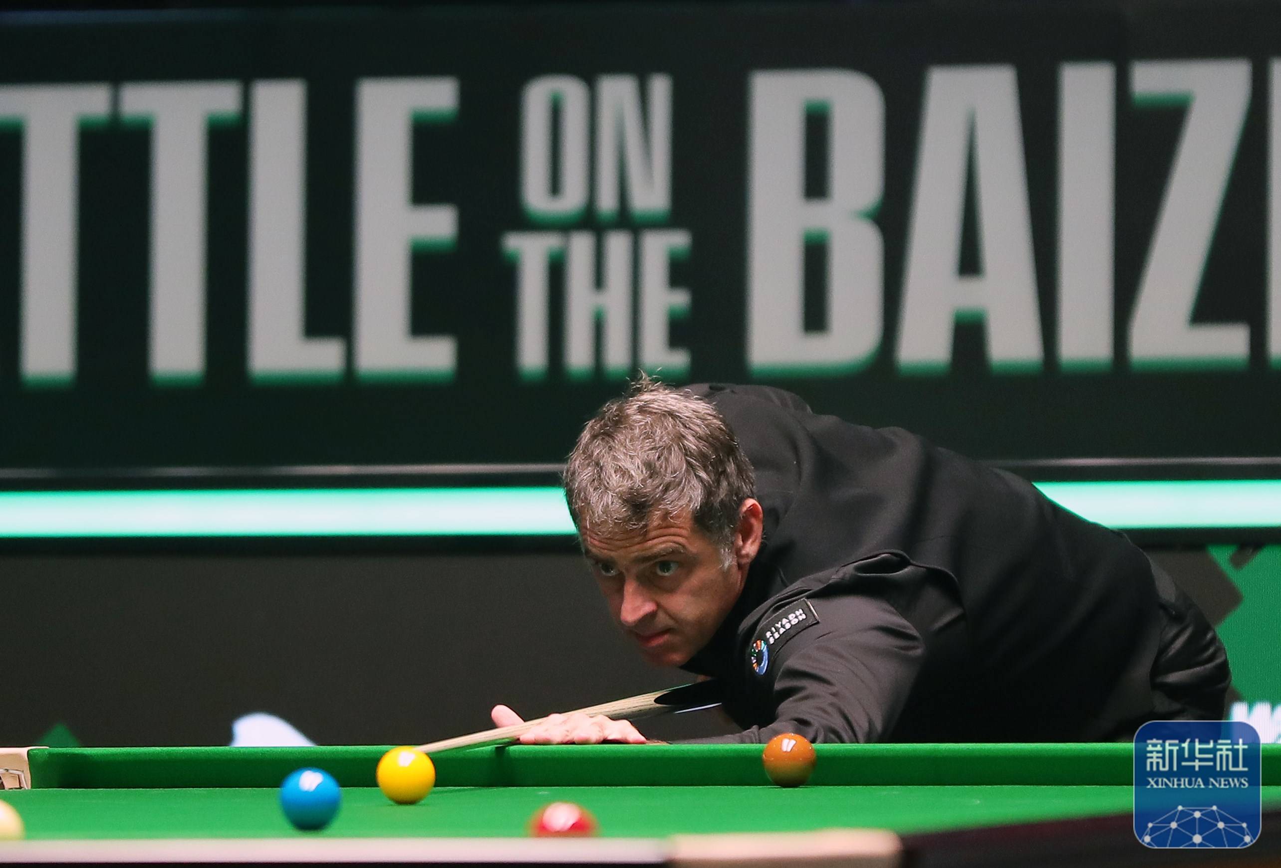 龙年皮肤特 龙年皮肤特